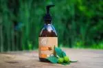 Tierra Verde Kastanje shampoo voor versterkt haar met sinaasappel (230 ml)