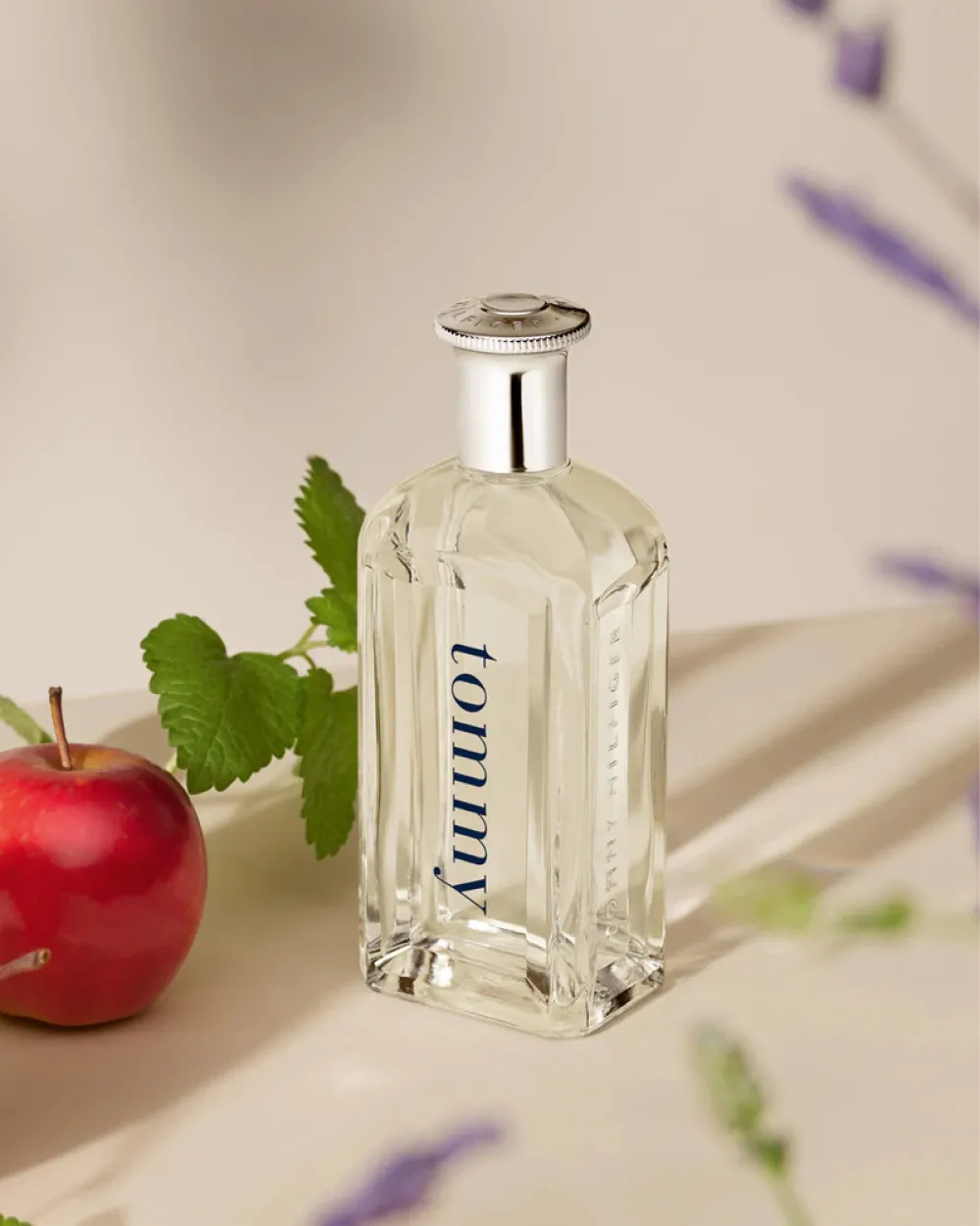 Tommy eau de toilette 100 ml voor heren
