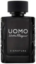 Uomo Signature eau de parfum voor heren 100 ml