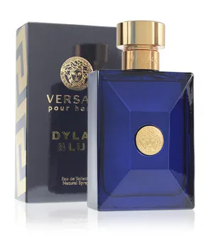 Versace Dylan Blue Pour Homme eau de toilette voor mannen 50 ml