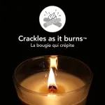 Vanilla Bean geurkaars met houten lont 275 g