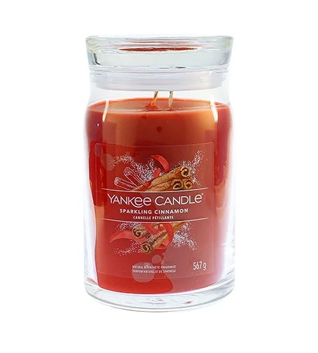 Sparkling Cinnamon signature geurkaars groot 567 g