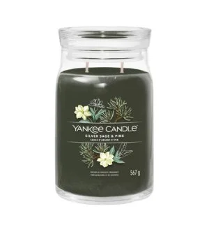 Yankee Candle Silver Sage & Pine signature geurkaars groot 567 g