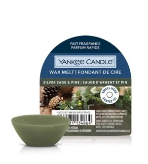 Yankee Candle Silver Sage & Pine geurwas 22 g