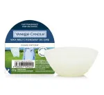Yankee Candle Clean Cotton geurkaars 22 g