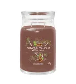 Yankee Candle Praline & Birch signature kaars groot 567 g