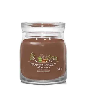 Yankee Candle Praline & Birch signature kaars medium 368 g