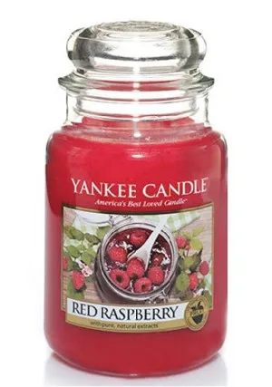 Yankee Candle Red Raspberry geurkaars 623 g