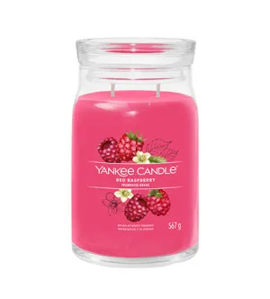 Yankee Candle Red Raspberry signature kaars groot 567 g