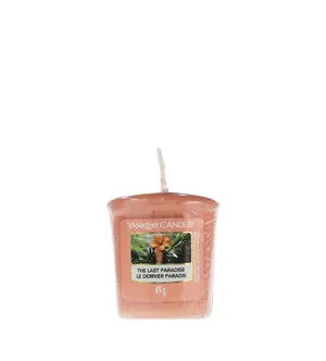 Yankee Candle The Last Paradise votiefkaars 49 g