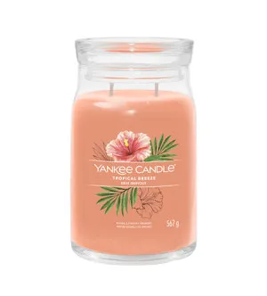 Yankee Candle Tropical Breeze signature kaars groot 567 g