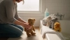 # Jak vyprat plyšáky a měkké hračky bez poškození

---

# Hoe knuffels en zacht speelgoed wassen zon