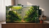 # Jak zvládnout údržbu vodních rostlin a akvária bez chemie

## Hoe je waterplanten en een aquarium 