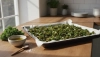 Připravte si kapustové čipsy z trouby za 10 minut

# Bereid boerenkoolchips uit de oven in 10 minute