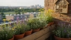 # Waarom zijn bijen belangrijk en hoe help je ze op je balkon

Bijen behoren tot de meest waardevoll