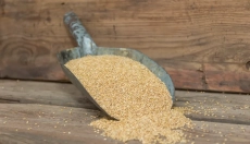 Gezondheid en ecologie gaan hand in hand met sorghum