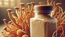 Het geheim van de Chinese cordyceps voor energie en langlevendheid