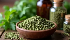 Hoe de zaden van brandnetel op de juiste manier te gebruiken voor uw gezondheid