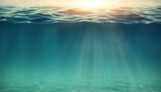 Ontdek de natuurlijke schat in de vorm van zeeplasma